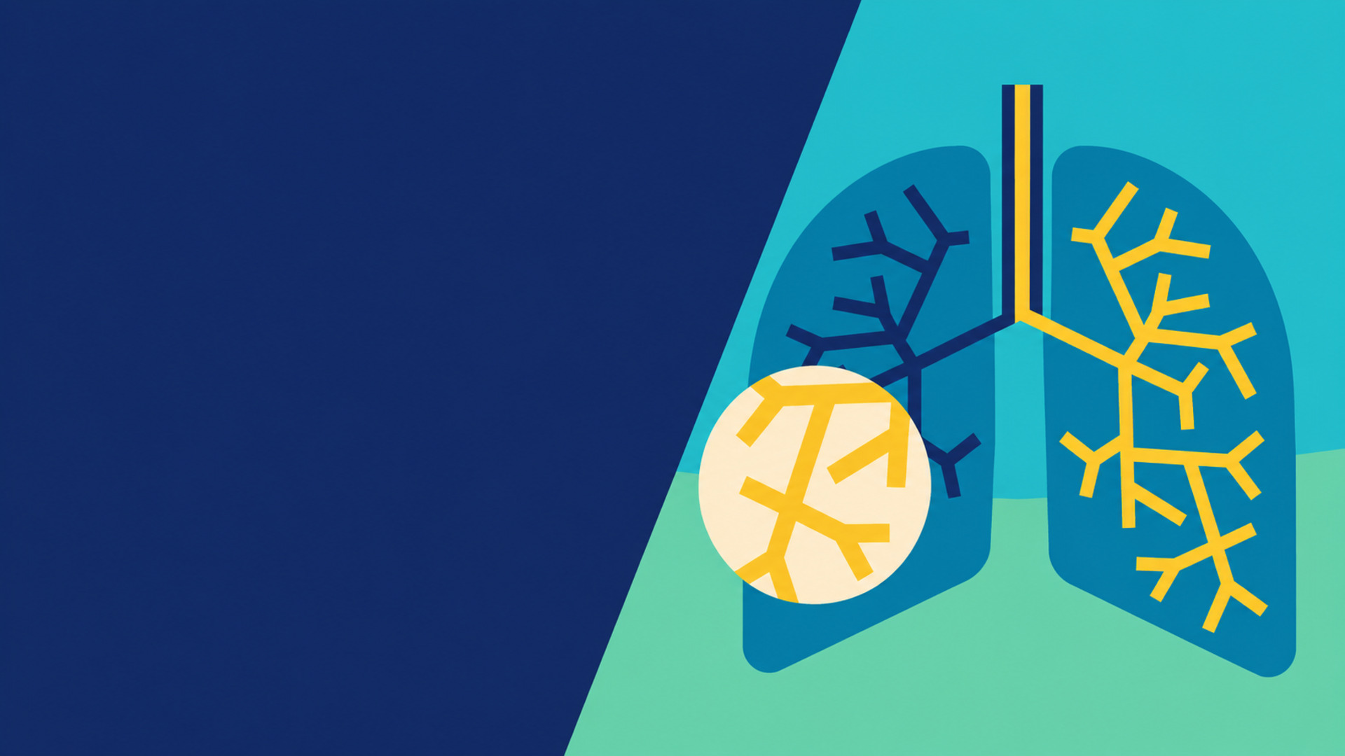 Illustrative graphic of a pair of lungs with branching airways in navy, teal and yellow, one area picked out in a cream circle, set against a navy panel. Not an original campaign asset.