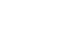 Vines Group