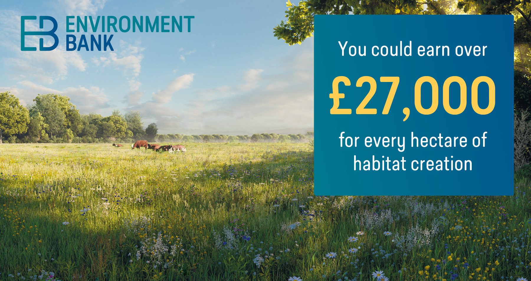 Environment Bank campaign creative