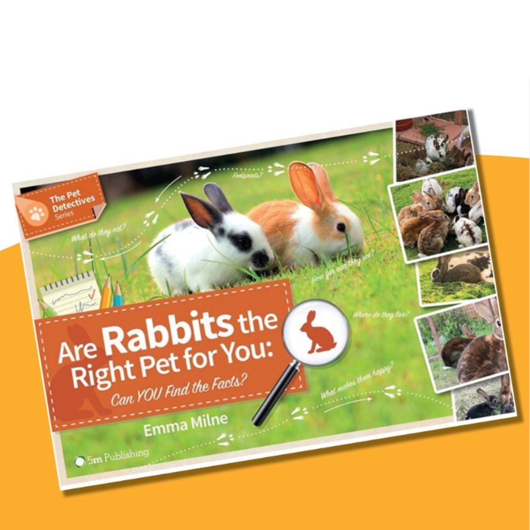 Rabbit Welfare Association and Fund campaign graphic